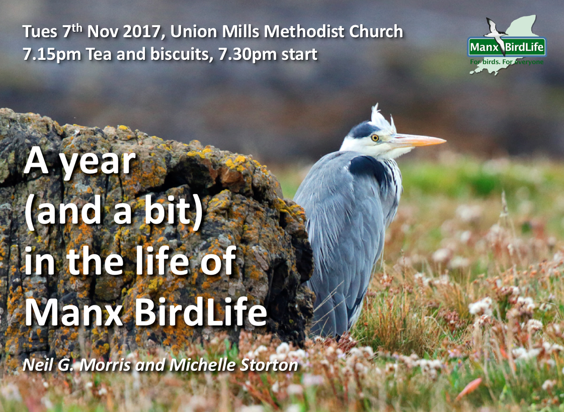 Manx BirdLife title slide 07 Nov 2017