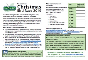 Isle of Man Christmas Bird Race 2019