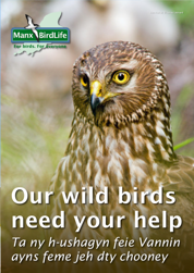 Become a Friend of Manx BirdLife