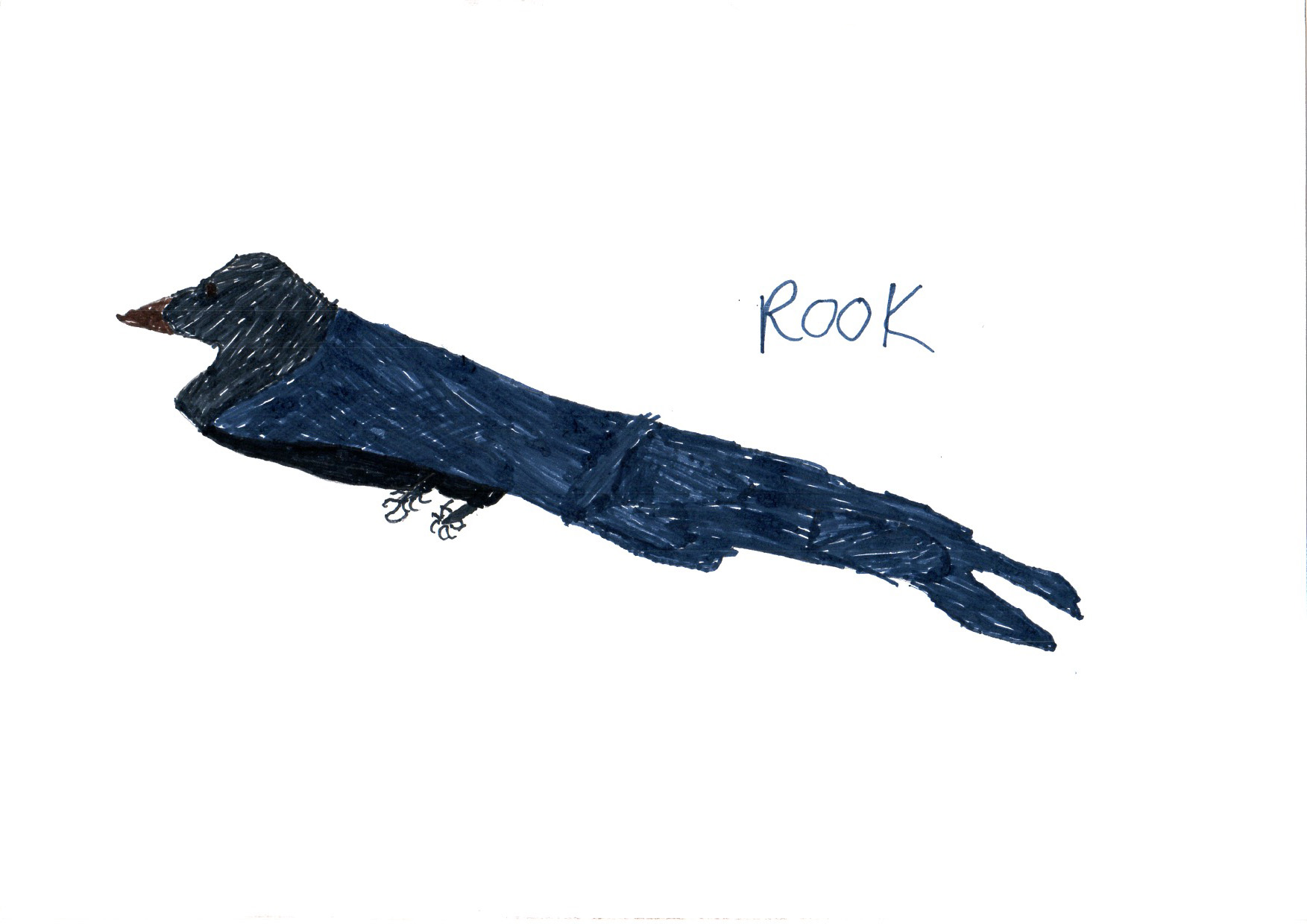 Above: "Rook" by Jude Stout (Yr 3, Arbory School)