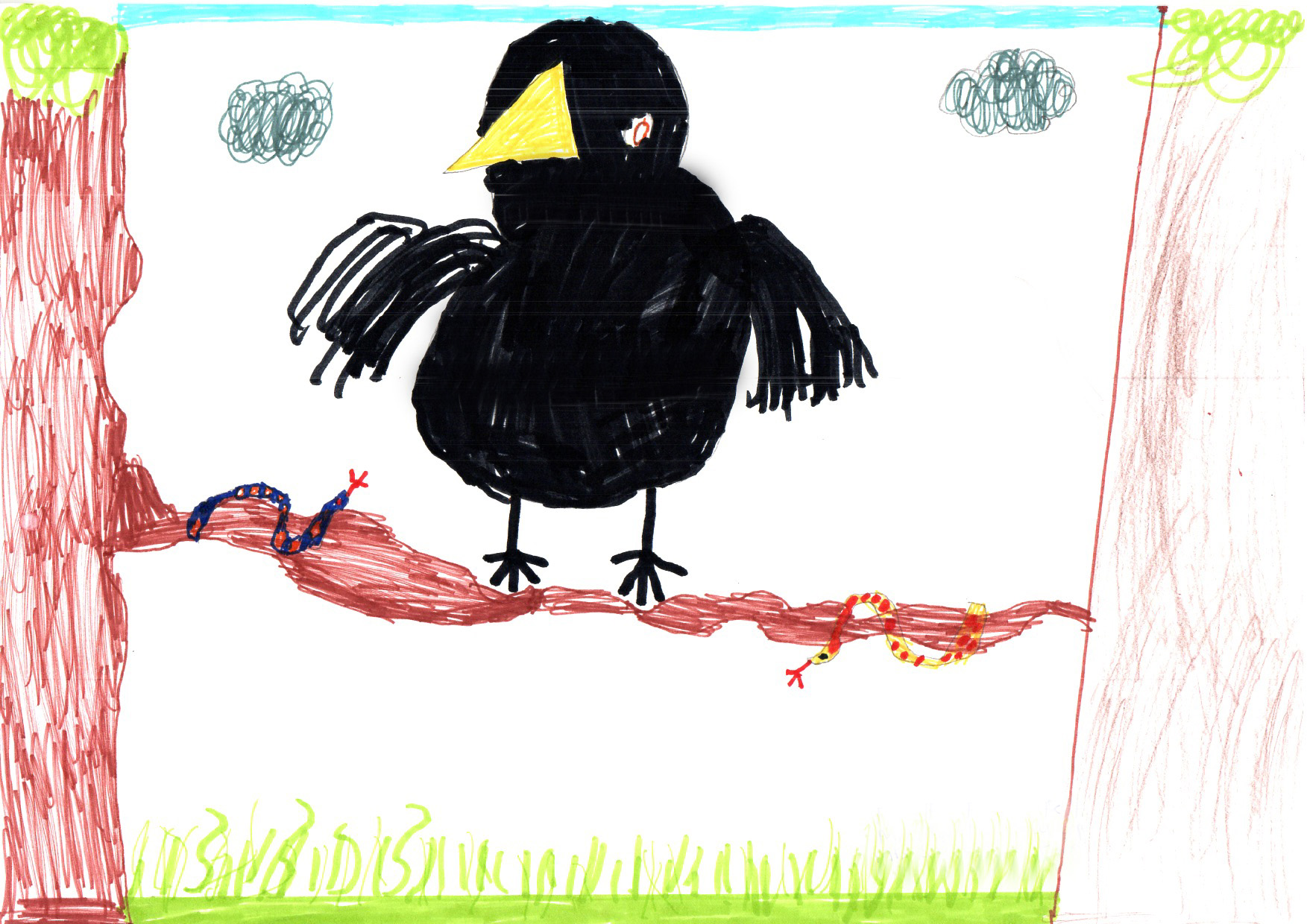 Above: "My Favourite Bird" by Fergus Kerwick (Yr 4, Marown School)