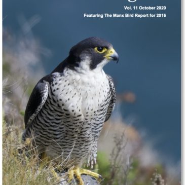 Latest edition of Peregrine journal published
