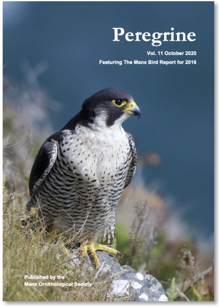 Peregrine Vol. 11 October 2020. Journal of the Manx Ornithological Society.