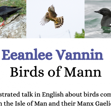 Join us for a celebration of Birds in Manx Culture, 26 & 27 June 2021