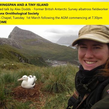 "A large wingspan and a tiny island", an illustrated talk 1st March 2022