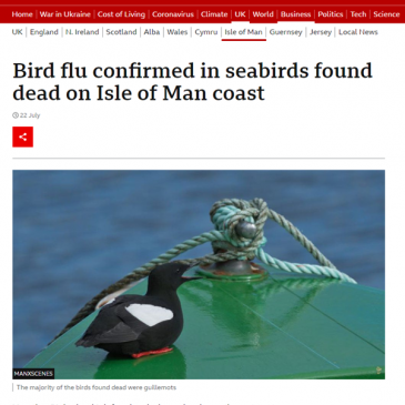 Avian Influenza (bird flu) in the Isle of Man: UPDATES