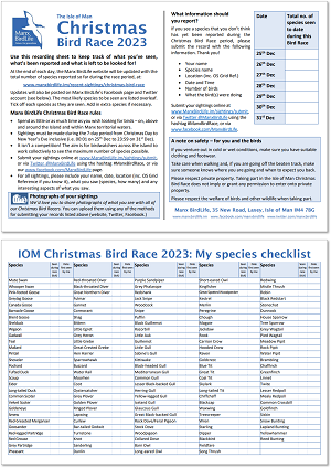 Christmas Bird Race 2023 Recording Sheet