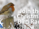 Join the Christmas Bird Race 2024!